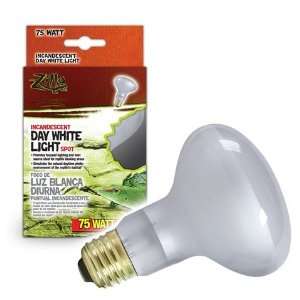  Zilla Day White Light Incandescent Spot Bulb: Pet Supplies