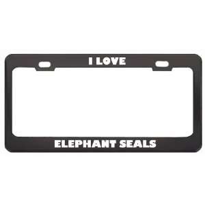  I Love Elephant Seals Animals Metal License Plate Frame 