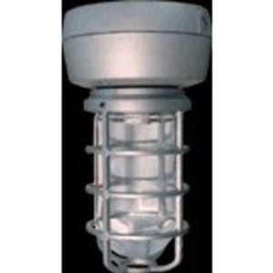  Vp Hid Ceiling 100W Hps Qt Hpf 1 2 Silver W Gl Globe Cast 