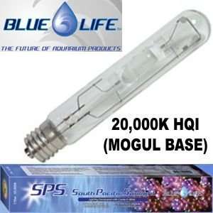  Blue Life USA 20,000K HQI Bulb   Mogul Base 250 Watt: Pet 