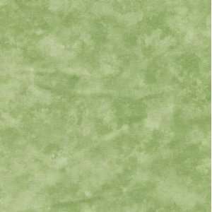  Moda Marbles Quilt fabric by Moda 9880 23 Arts, Crafts & Sewing