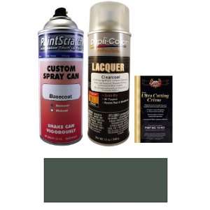   Metallic Spray Can Paint Kit for 1996 BMW 5 Series (269): Automotive
