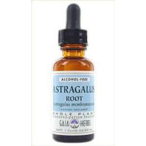  Astragalus Root Liquid Extracts Alcohol Free 8 oz   Gaia 