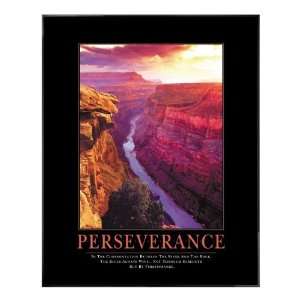  Successories Perseverance Motivational Poster Office 