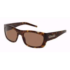  D G 3012 Havana / Brown Sunglasses 