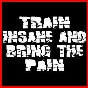 TRAIN INSANE & BRING THE PAIN (Workout) GYM RAT T SHIRT  
