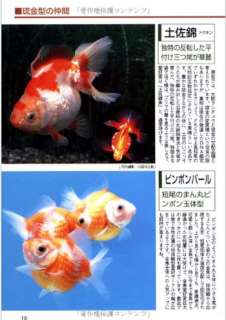 Fish Book Japanese Goldfish Ranchu Catalogue 5  
