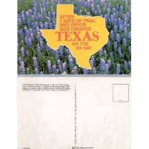 Vintage Post Card After 7 Days of Trial and Error God Created Texas 