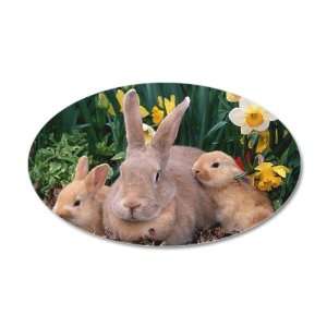  38.5x24.5O Wall Vinyl Sticker Spring Easter Rabbits 