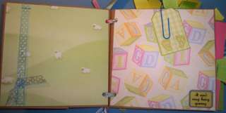 Premade Scrapbook Paper Bag Album PREGNANCY Baby Journal  