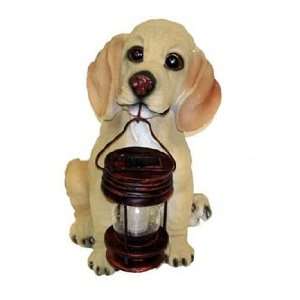  Browned Eyed Puppy Dog With Lantern Solar Light: Patio 