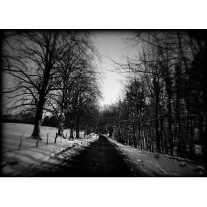 Scottish Winter Road Print Black and White SOBW8678 5x7  