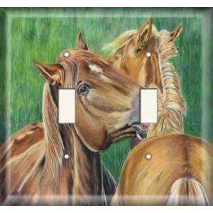    Double Switch Plate OVERSIZE   Horse Grooming: Home Improvement