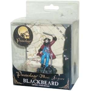  Tall Pirate Mini Figure : BlackBeard with Display Stand: Toys & Games