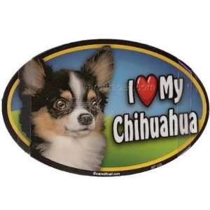    Dog Breed Image Magnet Oval Chihuahua Long Haired: Pet Supplies