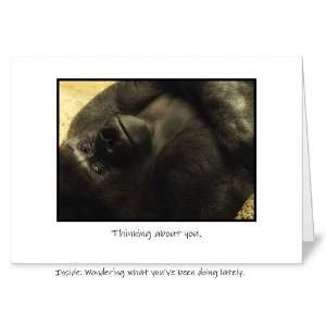 Wondering about you Missing You Friendship Greeting Card: 5 x 7   Free 