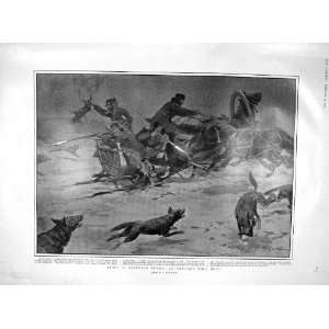  1903 SPORT RUSSIA WOLF HUNTING PIG SLEDGE SHOOTING