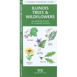   Folding Pocket Guide   Illinois Trees & Wildflowers: Everything Else