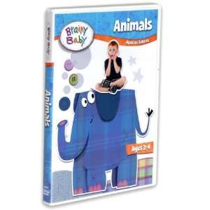  Animals Multimedia Educational DVD: Everything Else