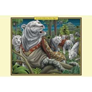 A Streak of Siberian White Tigers 2006 12 x 18 Poster 