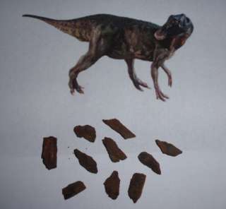 Dinosaur Fossil, Edmontosaurus Bone Fragment Lot# 441  