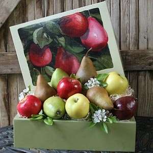   Company Organic Fruit Gift Box  Grocery & Gourmet Food