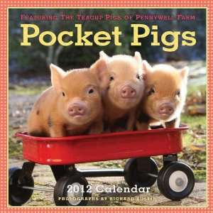  Pocket Pigs 2012 Wall Calendar