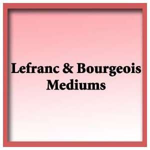    Lefranc Bourgeois Artists Oil   250 ml Jar   Aging Medium Beauty
