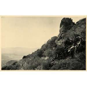  1887 Mountain Landscape Agua Caliente San Diego County 