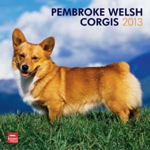  Welsh Corgis, Pembroke 2013 Wall Calendar 12 X 12 