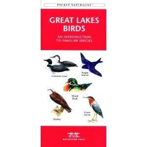  Waterford Press WFP1583550922 Great Lakes Birds Book: Pet 