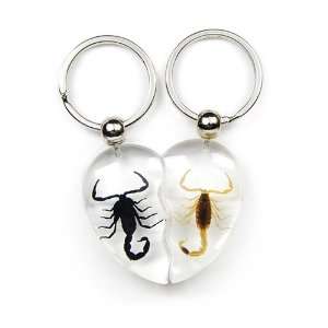 Real Insect Key Chain Black & Golden Scorpion