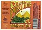 pyramid beer  