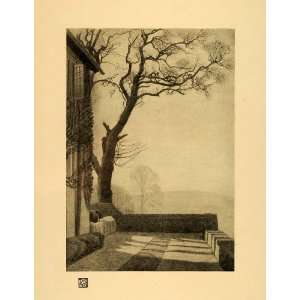  1920 Print Morning Light Tree Branches House Patio Art 