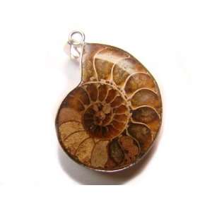  PE0371 Madagascar Ammonite Fossil Crystal Pendant Jewelry