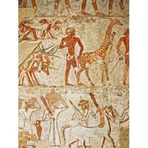 com Giraffe Among the Tribute from Nubia, Tomb of Rekhmire, West Bank 