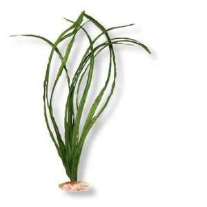    Blue Ribbon Pet Products EEL Grass X Large Plant