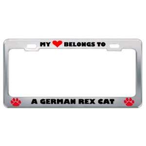 My Heart Belongs To A German Rex Cat Animals Pets Metal License Plate 