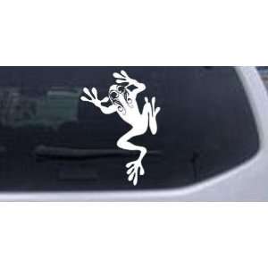  Frog With Swirl Eyes Animals Car Window Wall Laptop Decal 