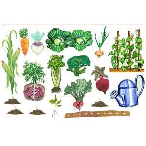 Whats Growing? Vegetable Learning Kit Felt Figures for Flannelboard 