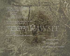 VIETNAM VETERANS TRIBUTE, JUNGLE PHOTOCOMPOSITE WITH VERSE, WELCOME 