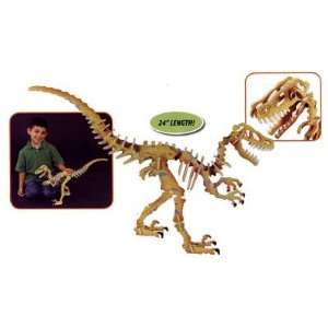  Skin Dinosaur Velociraptor Toys & Games