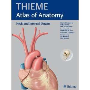  Neck and Internal Organs (THIEME Atlas of Anatomy 