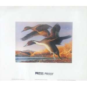 1991 New Mexico Duck Stamp Print Press Proof Pintails  