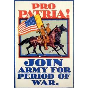  UNITED STATES AMERICAN FLAG HORSE PRO PATRIA JOIN ARMY FOR 