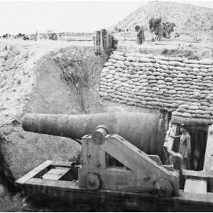   gun emplacement at Howlett House, Trents Reach 1862
