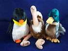 A7 Penguin Duck Ostrich Other Birds Matchbox Labels  