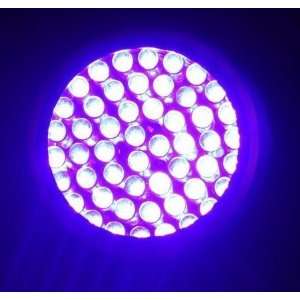  EASTSHINE 395 nM 51 UV Ultraviolet LED flashlight 