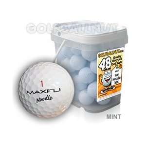  48 Ball Bucket Noodle Mix Mint Used Golf Balls: Sports 