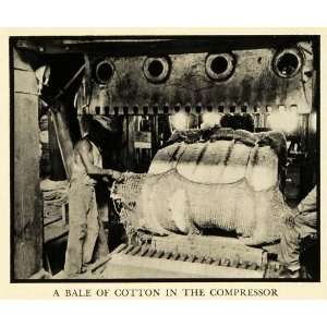 1937 Print Cotton Compressor Delta Pine Mississippi Scott 